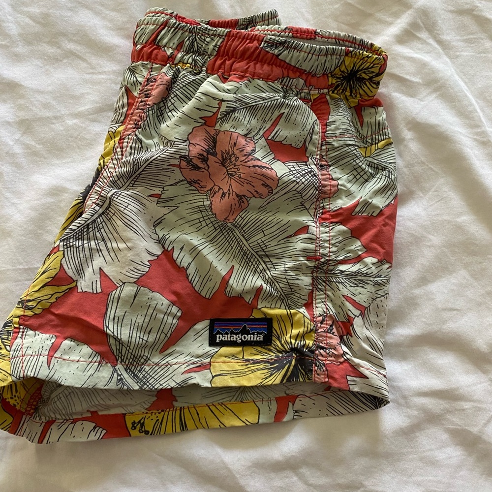 Patagonia Baggie Shorts